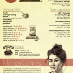 Curriculum Freelance